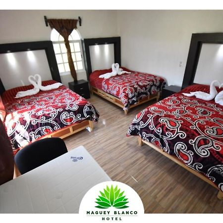 Hotel Maguey Blanco Ixmiquilpan Zewnętrze zdjęcie