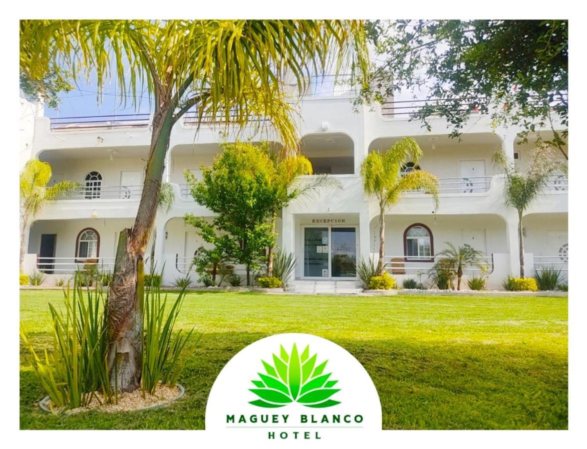 Hotel Maguey Blanco Ixmiquilpan Zewnętrze zdjęcie