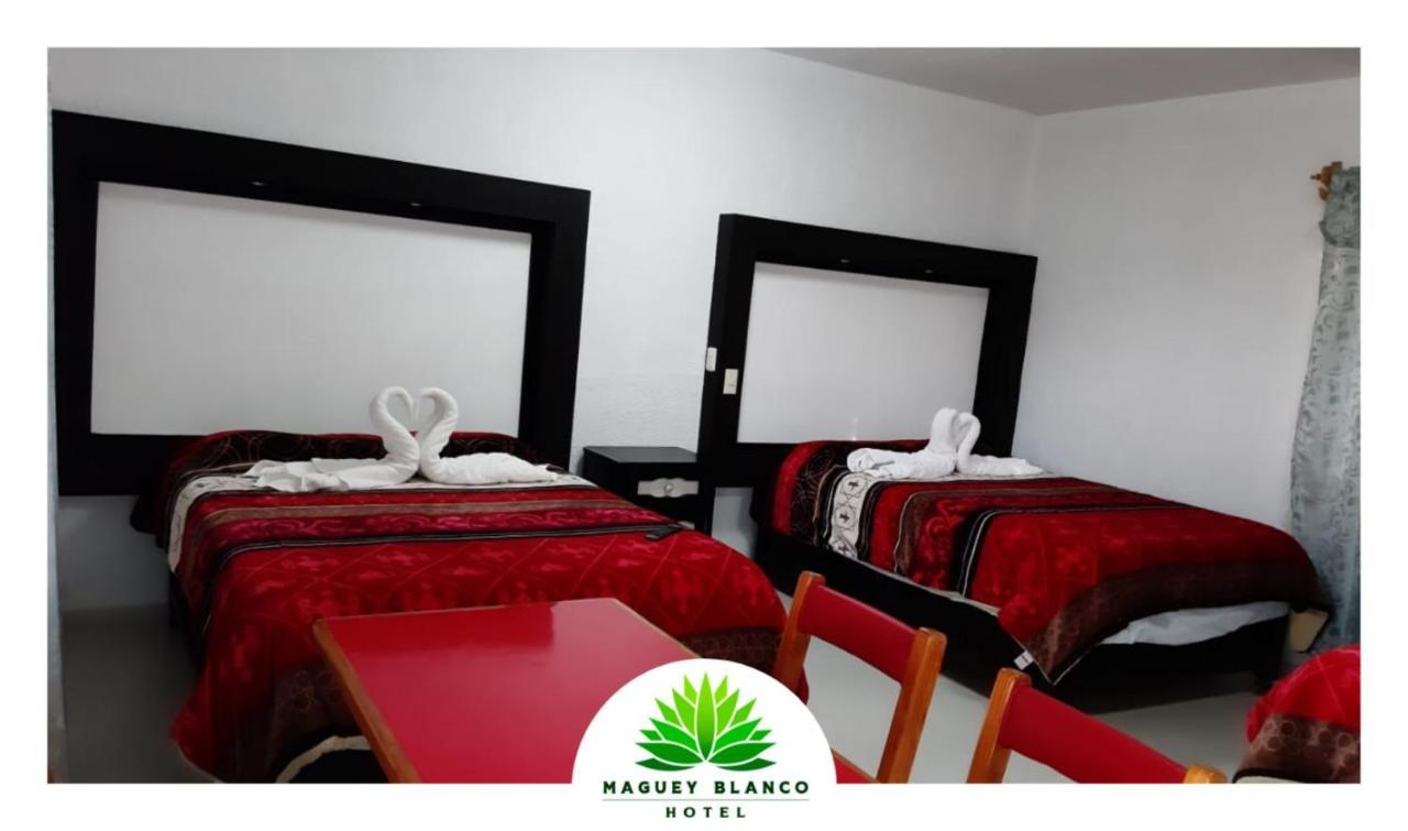 Hotel Maguey Blanco Ixmiquilpan Zewnętrze zdjęcie