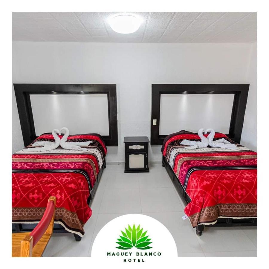 Hotel Maguey Blanco Ixmiquilpan Zewnętrze zdjęcie