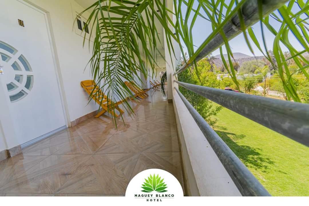 Hotel Maguey Blanco Ixmiquilpan Zewnętrze zdjęcie